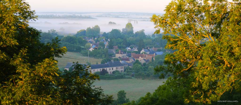 La rivière embrumée